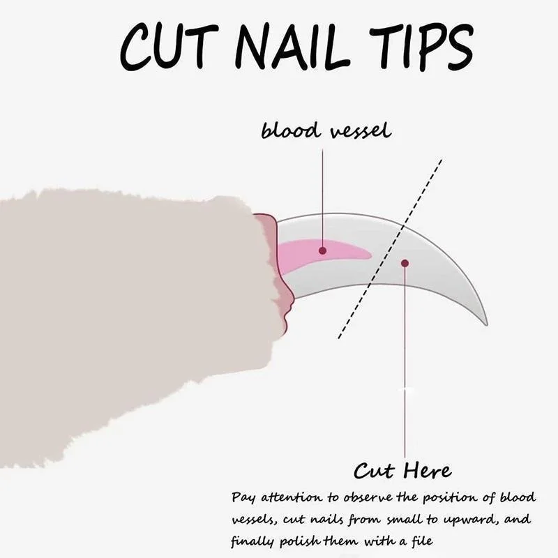 Ergonomic Pet Nail Clipper for Dogs & Cats